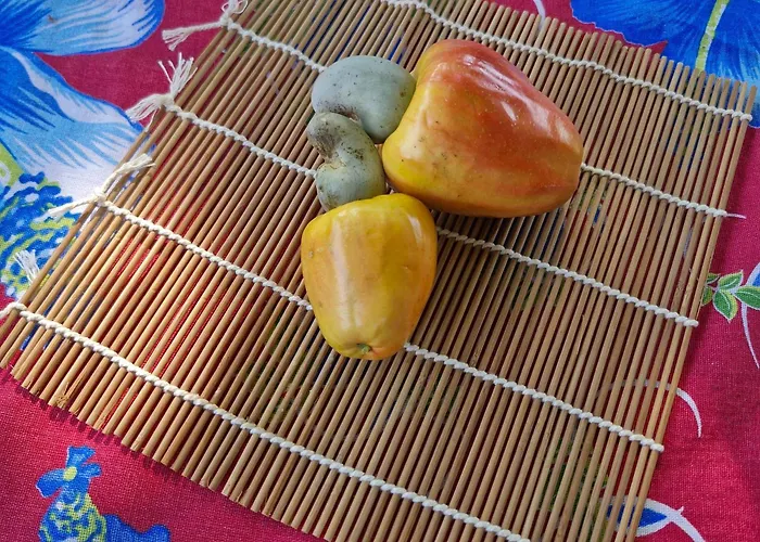 Pousada Sorriso Da Mata.. Alter do Chão